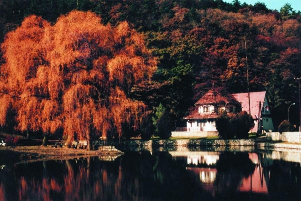 Hotel Sikfokut Носвай Экстерьер фото